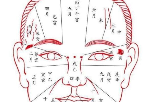 如何通过十二天干地支预测未来运势