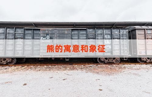 熊的寓意和象征：深入解析背后的文化意义