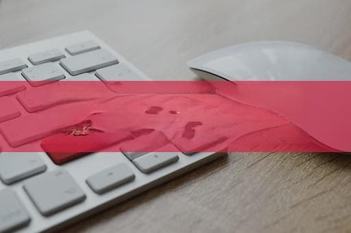 获取HTTP请求IP地址：如何识别并获取用户的真实IP地址？