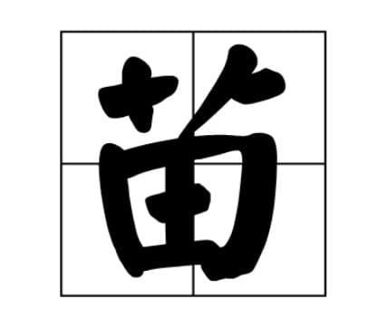 苗姓溯源：从楚国芈姓到苗氏的传承