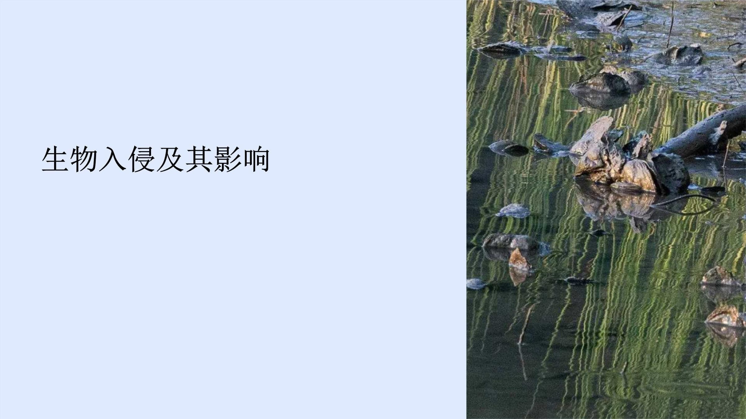 生物入侵及其影响