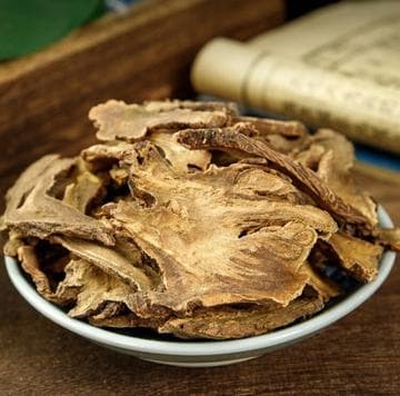 土大黄：传统中药的多重功效与应用