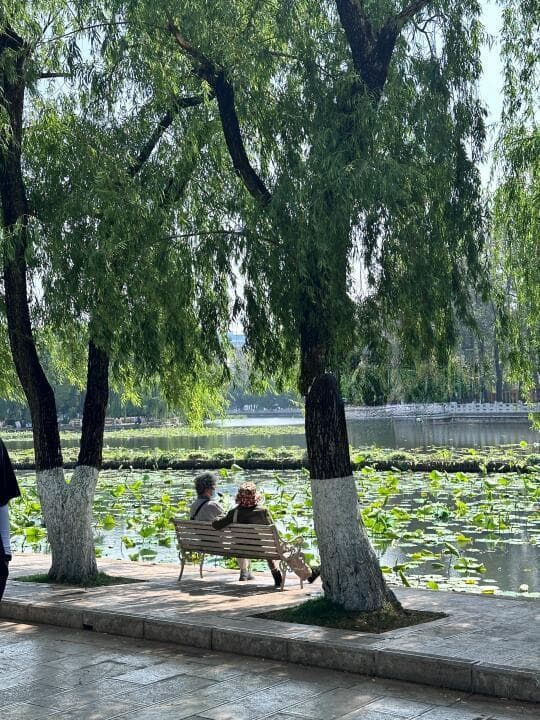 一天游昆明：漫步翠湖，品味街头美食，探秘花市与历史风情