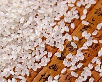东北农业的“金豆子”：大豆产业引领乡村振兴
