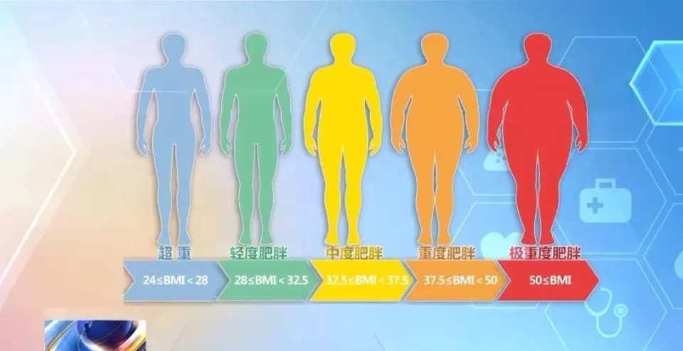 “轻断食”“戒晚餐”“断碳水”真的管用吗？国家新版减肥指南来了！