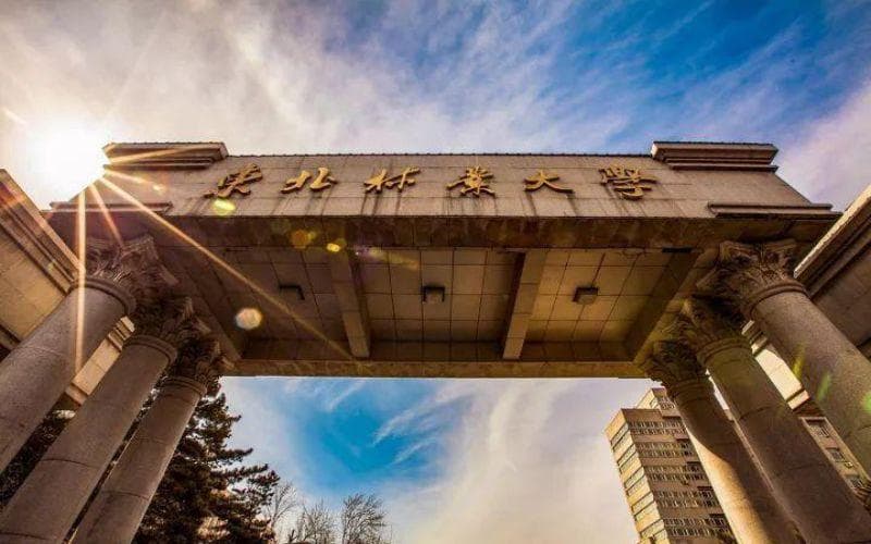 东北林业大学全国排名和最强专业解析