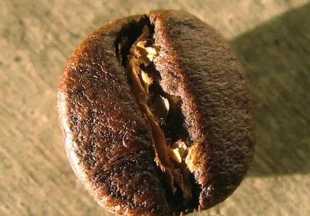 什么是波旁咖啡？