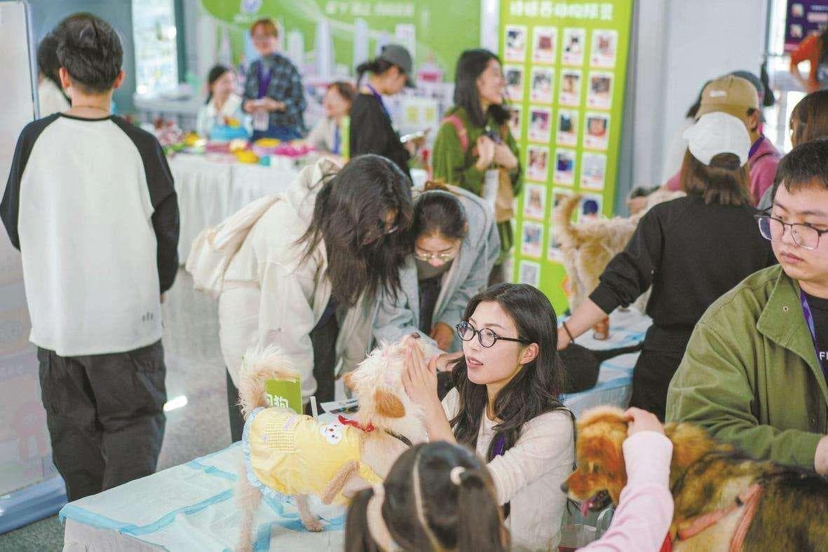 宁波大学站开展“雷锋守护计划”主题活动