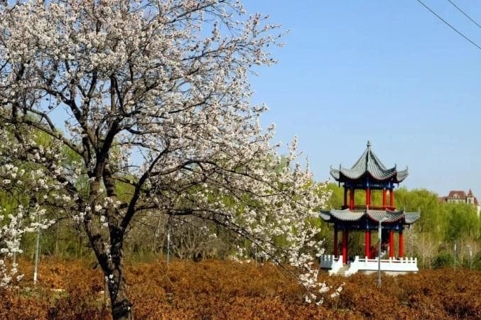 来武威约会春天，这份攻略必看！