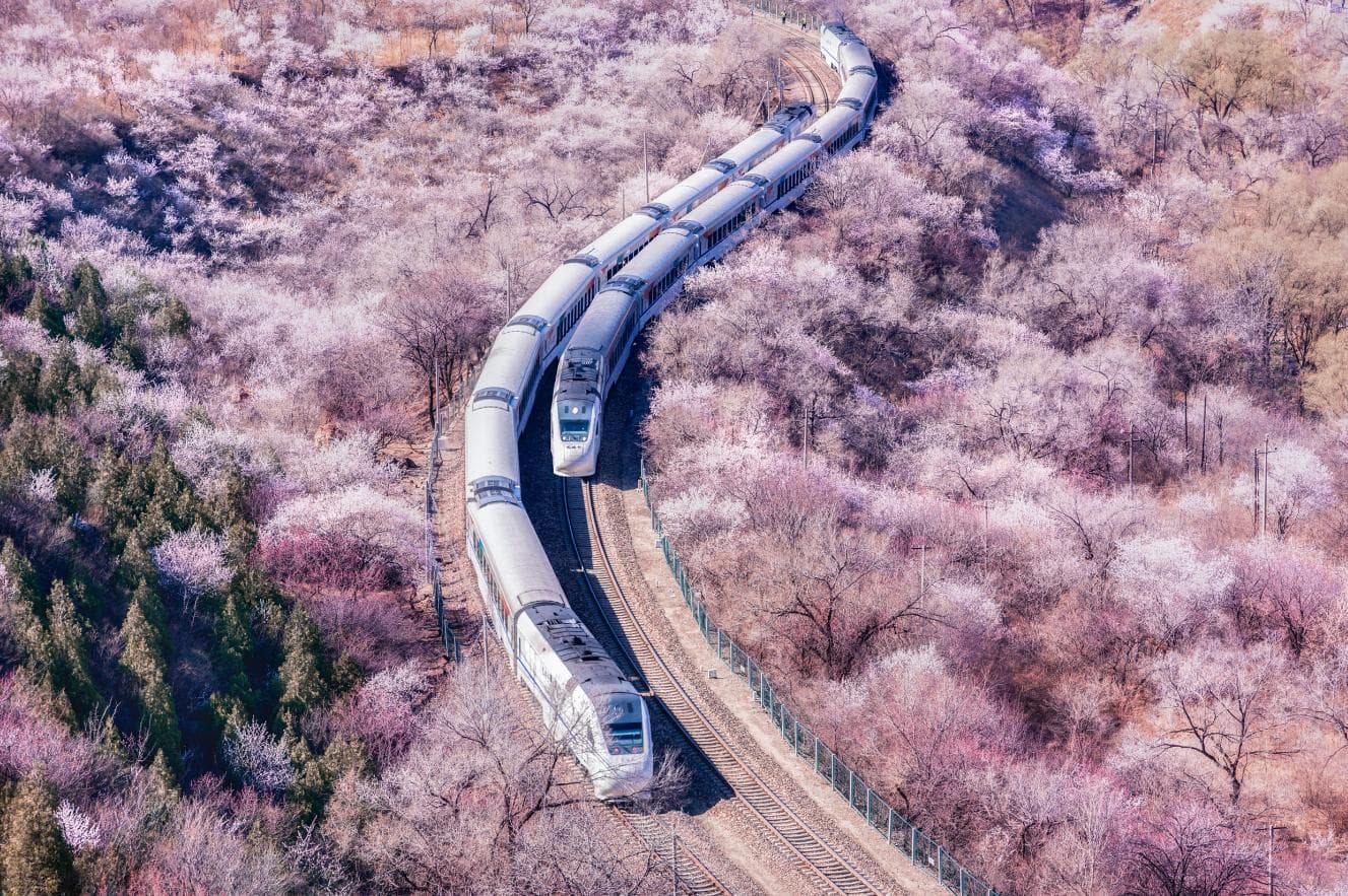 乘花海列车 赏漫山春色