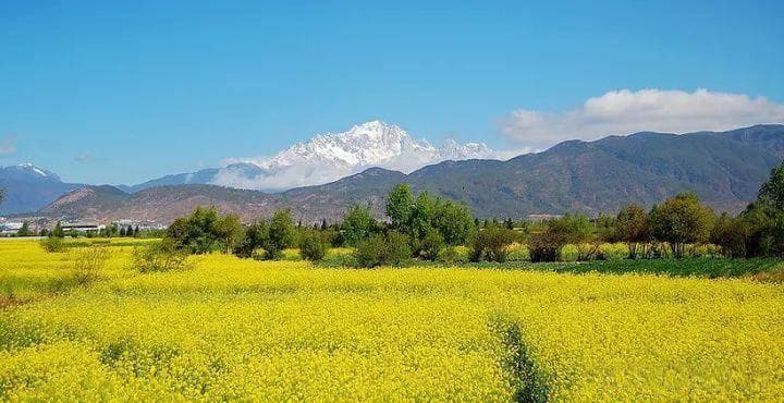 云南旅游最佳季节：春秋季气候宜人，冬夏各有特色