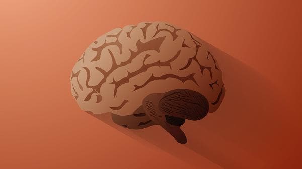 集中不了注意力大脑不受控制