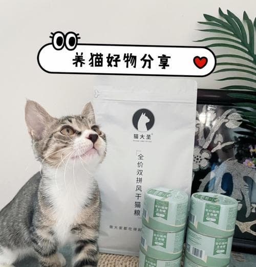 幼猫吃猫粮每次几粒合适？如何调整幼猫的食量？
