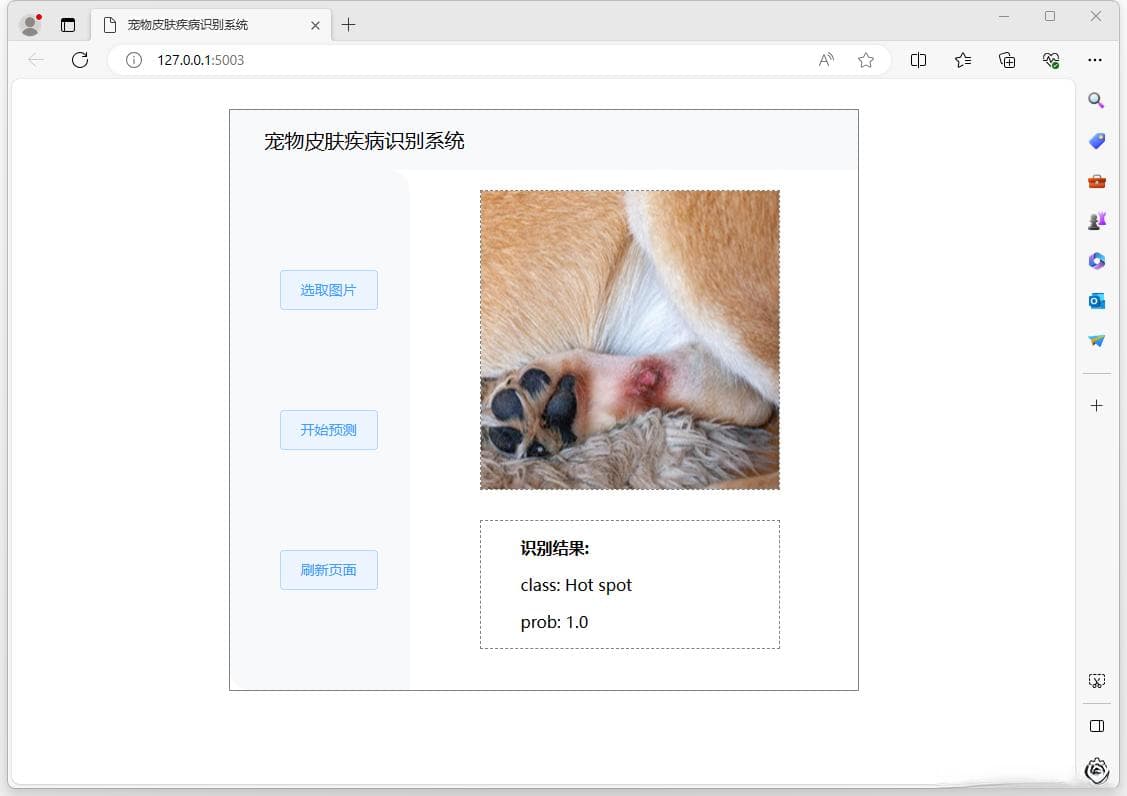 基于VGG16卷积神经网络的宠物皮肤疾病识别系统