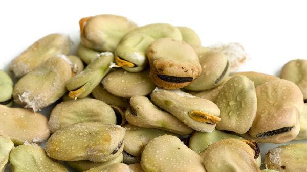干蚕豆的营养价值与食用指南：好处、坏处及注意事项