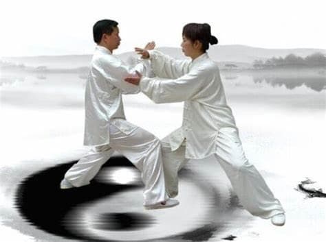 武式太极，养生和技击结合的典范！