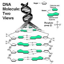 氢键：一种特殊的分子间相互作用力