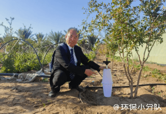 如何用一个罐子解决难题？节水抗旱新技术“树葆”亮相国际舞台