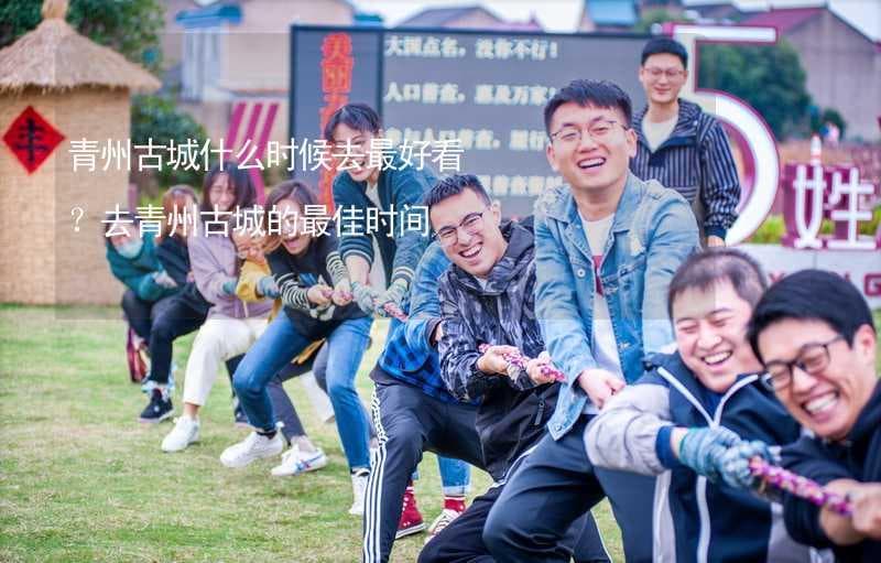 青州古城四季游：春赏樱、夏避暑、秋观田、冬品年