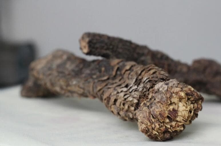 肉苁蓉的适用人群与禁忌