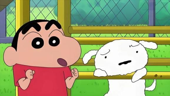 狗狗和主人的互动体现在心率差异上