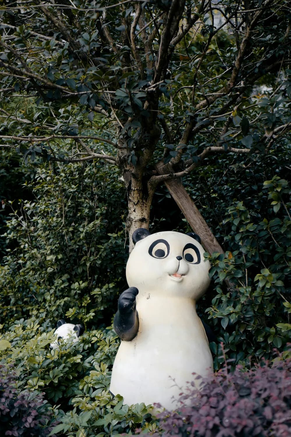 秋游都江堰：黄金季节不容错过！