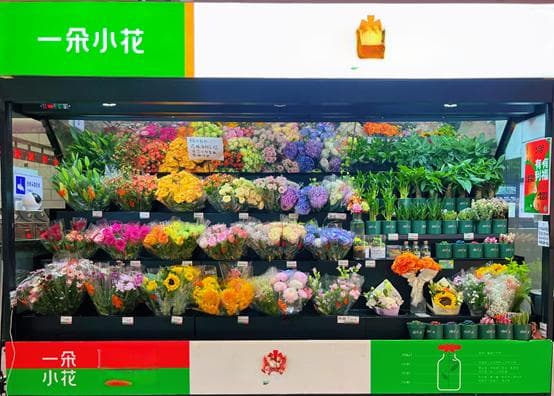 北京：优化“快进”设施网络，提升“慢游”服务体验