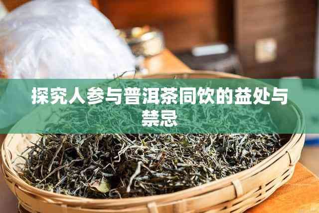 探究人参与普洱茶同饮的益处与禁忌