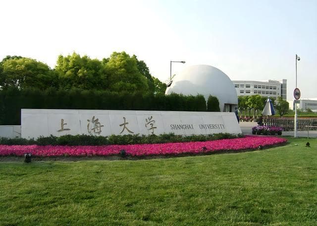 上海大学全面解析：学术实力、就业前景及学费情况
