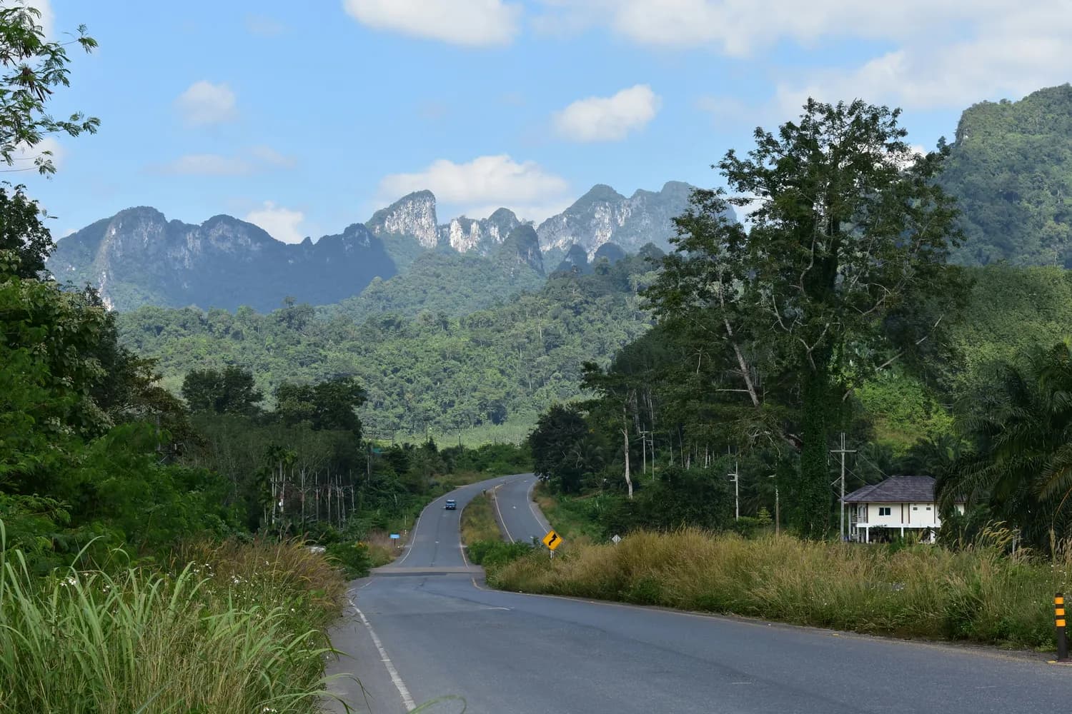 冬日自驾昆曼公路：景洪到磨憨最美风景线