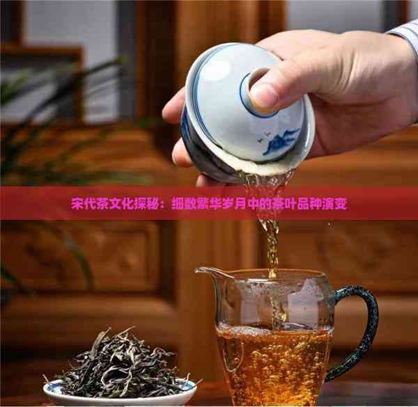 宋代茶文化探秘：细数繁华岁月中的茶叶品种演变