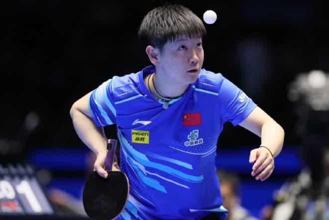 孙颖莎4-0横扫陈幸同，晋级女单决赛，细节体现严谨，难怪她成功