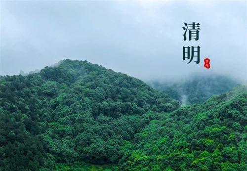 最走心的一首“清明”诗，道尽无数儿女心声，曾入选高中语文课本