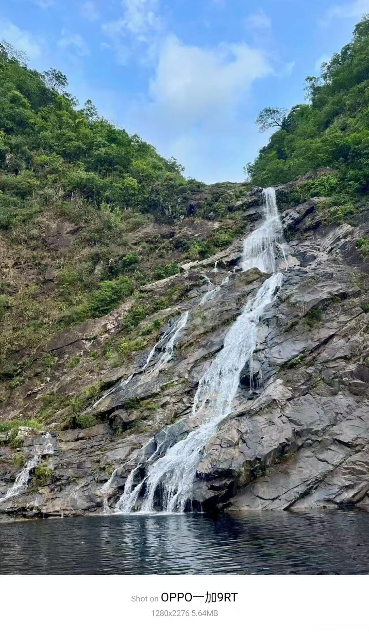 项目管理：如何成为问题解决的高手