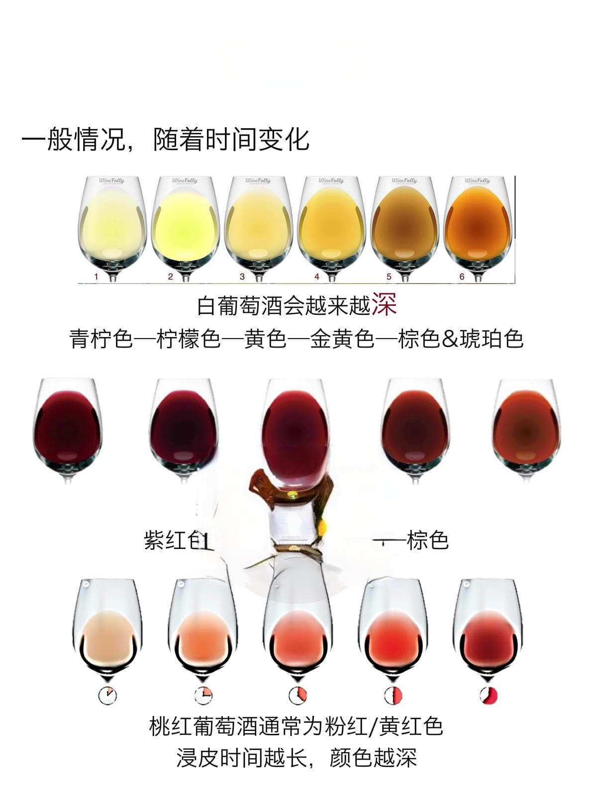 🍷品酒观色4步法，内行人才懂的小技巧