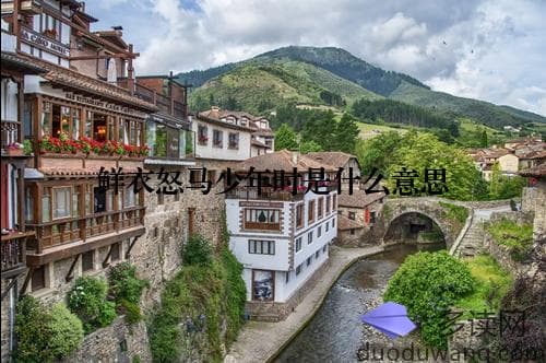 鲜衣怒马少年时：青春岁月里的豪情与梦想
