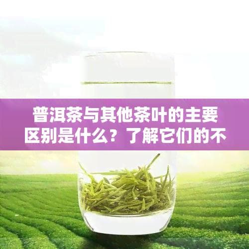 普洱茶：云南特产的后发酵工艺与保健功效