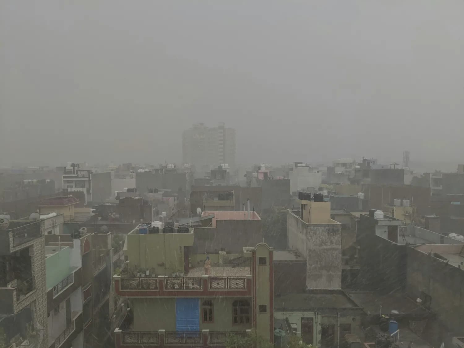 安阳连阴雨，农作物遭殃怎么办？