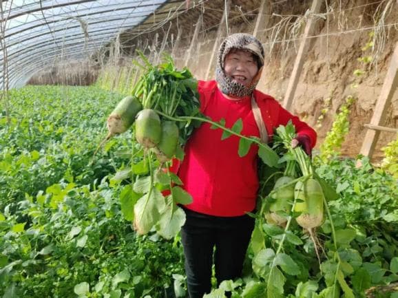 暖心搭建妇女"就业桥"绘就乡村振兴新图景