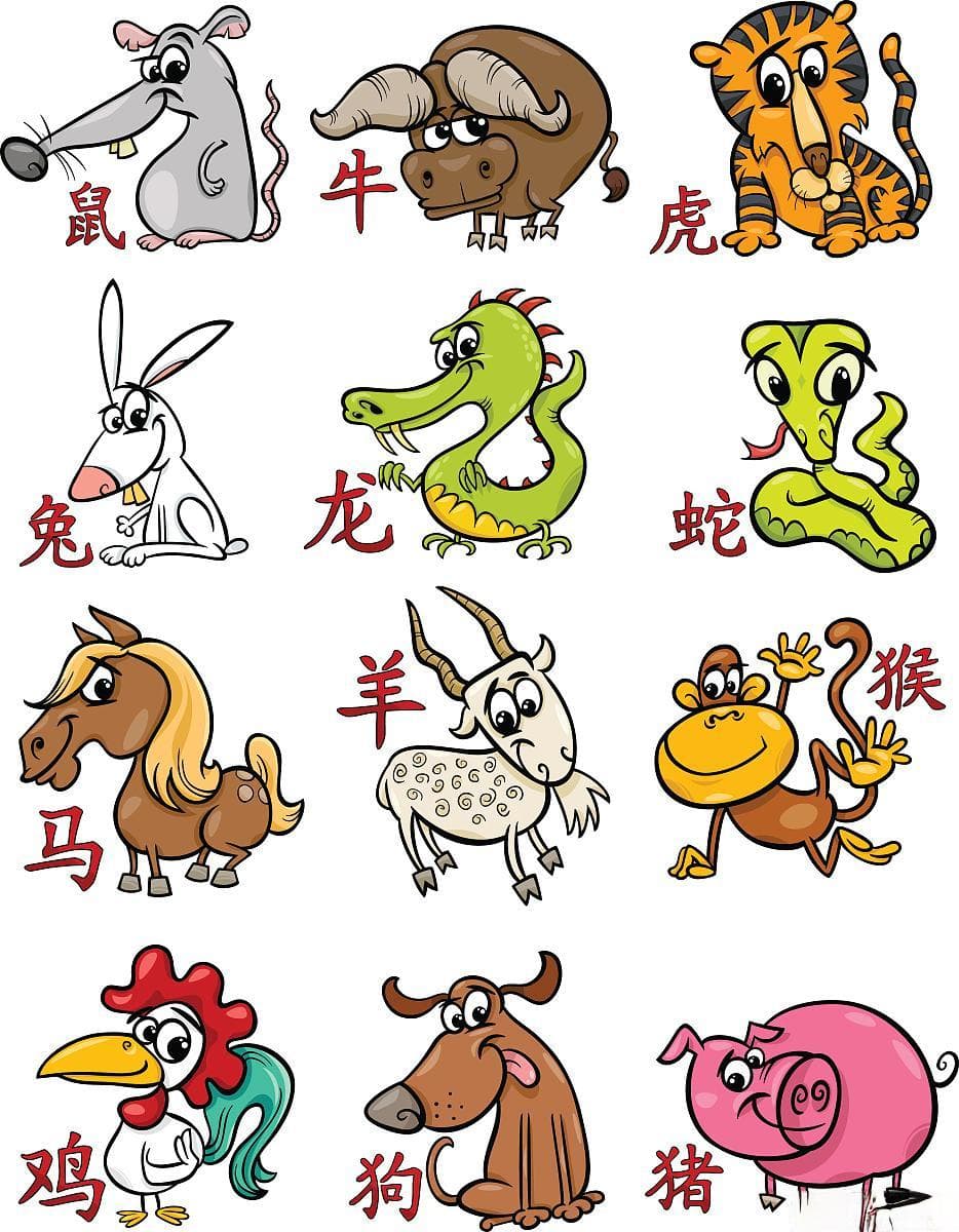 详述：十二生肖的文化意义