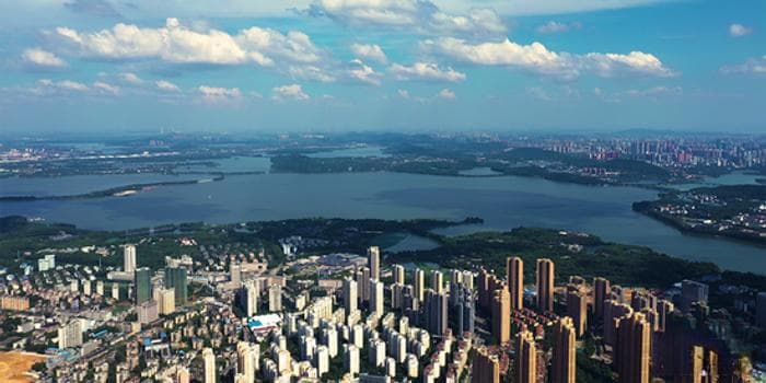 武汉：以降碳减污扩绿行动，引领湿地城市绿色转型