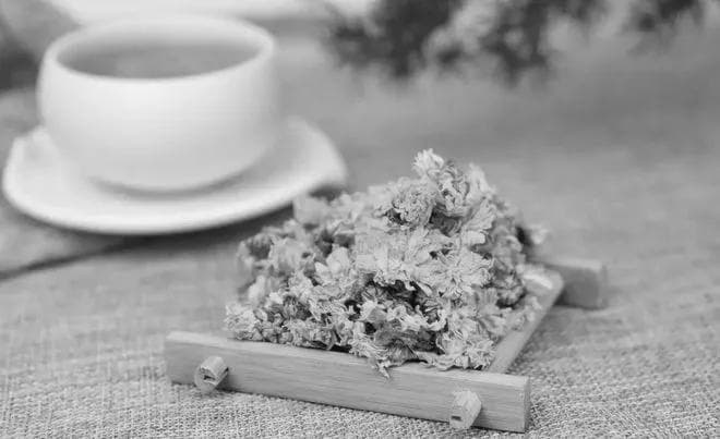 泡菊花茶用多少度的水？