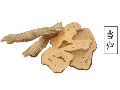 补益气血第一方：当归补血汤