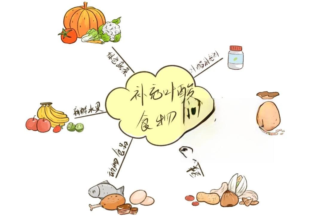 除了叶酸，孕期还要补这些，对照看看漏了没？