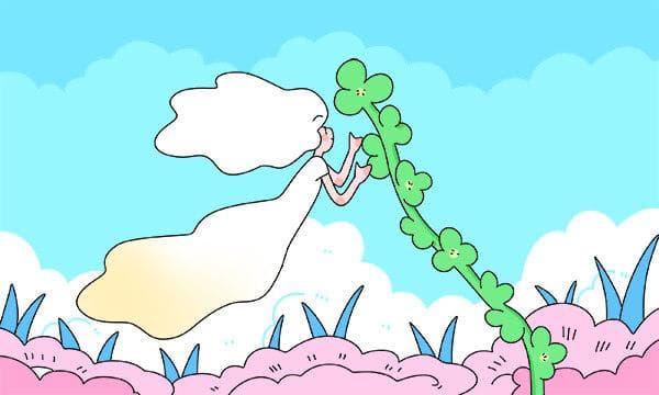 特殊教育专业就业方向有哪些？2025年就业前景如何？