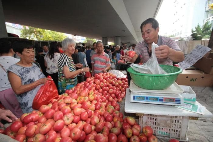 青岛早市菜价上涨：豆角6元一斤，香菜10元一斤，菜贩一个月没卖黄瓜了