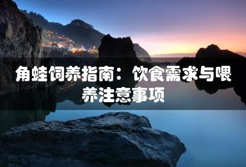 角蛙饲养指南：饮食需求与喂养注意事项(角蛙吃什么)