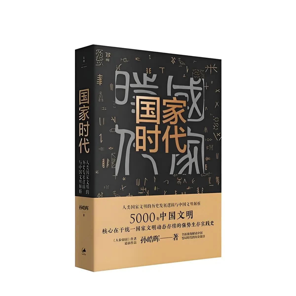 《国家时代》：人类国家文明发展逻辑与中国文明解析
