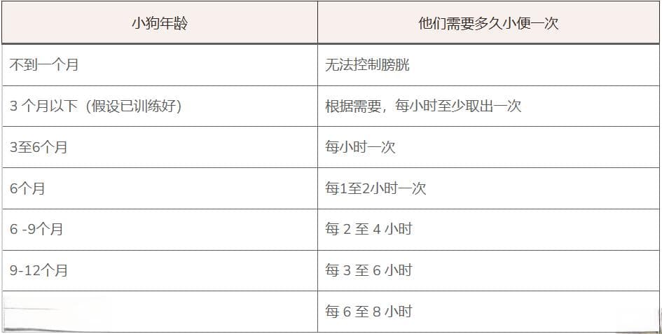 狗狗可以憋尿多久？不同年龄段的详细指南