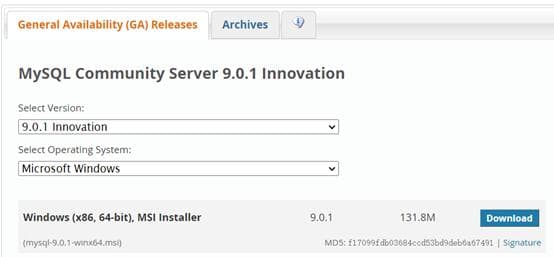 Windows平台下安装与配置MySQL9